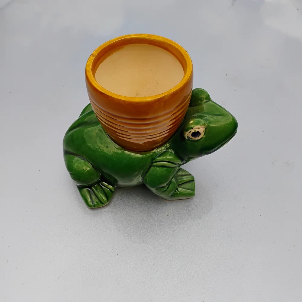 Green and Orange Turtle Planter